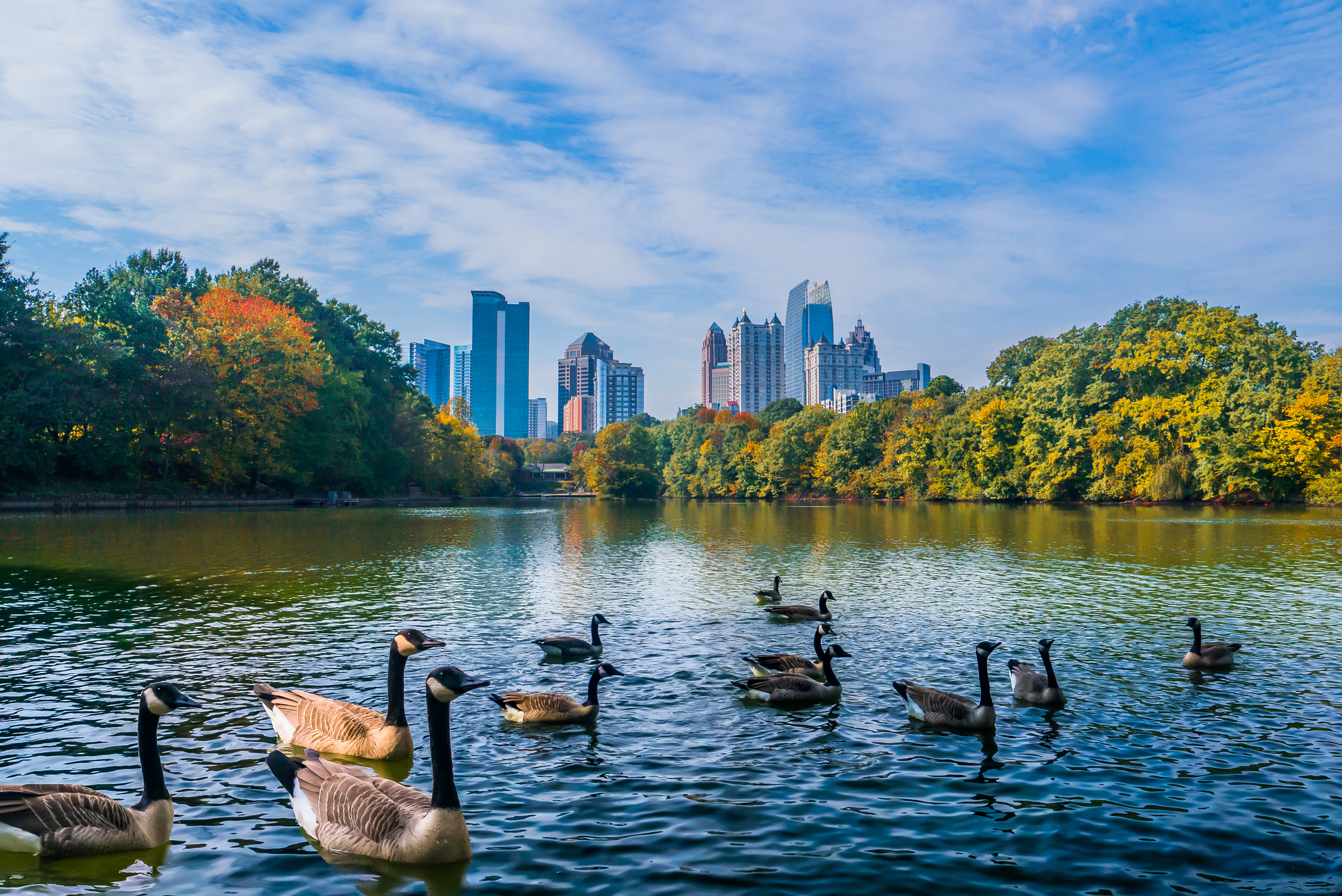 Accounting and Finance Recruiters in Midtown